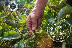 Read more about the article How IoT is Shaping the Future of Farming